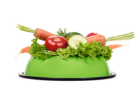 a feeding bowl full of salad and vegetables before white backgroundの写真素材