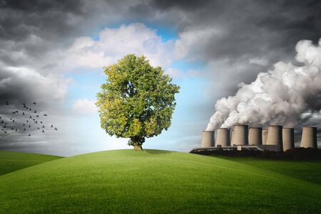 a tree on a meadow with a power station in the background