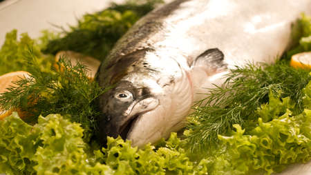 salmon with vegetablesの写真素材