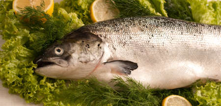salmon with vegetablesの写真素材