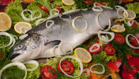 salmon with vegetablesの写真素材