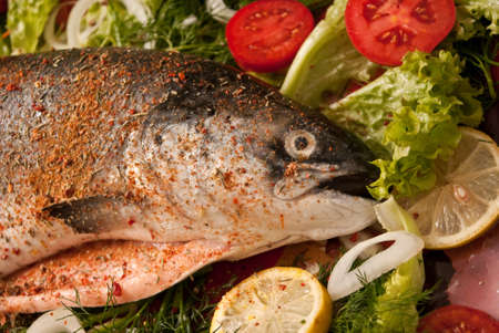 salmon with vegetables