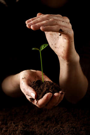Hands with plantの写真素材