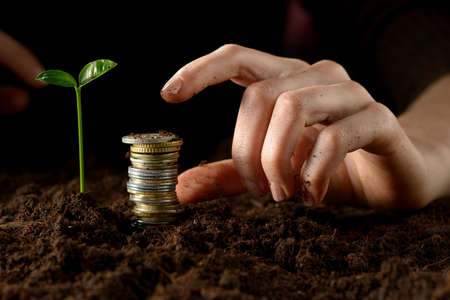 Hands with plant and moneyの写真素材