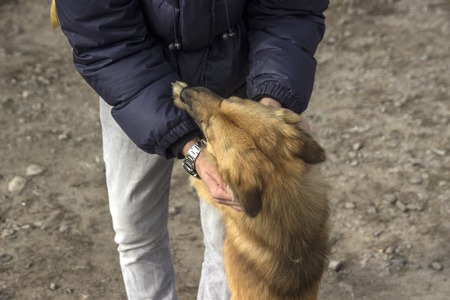 Man is playing with a dog
