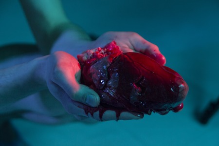 Heart in hands, Hands are holding a heartの写真素材