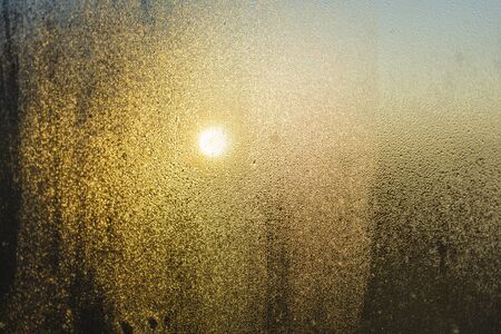 Nice blured backgound, soft lightの写真素材