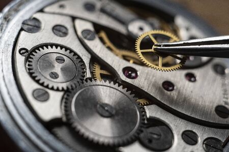 Installing a gear in the mechanical watchesの写真素材