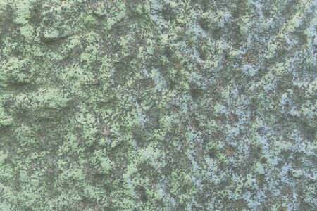 Nice green textured backgound, extreme close upの写真素材