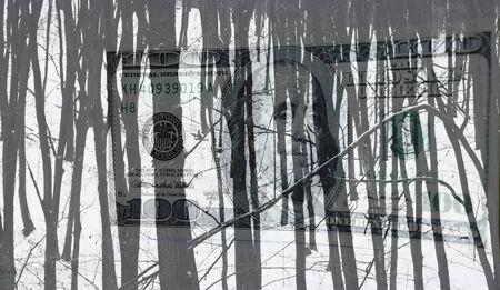 The financial economic crisis, the fall of the dollarの写真素材