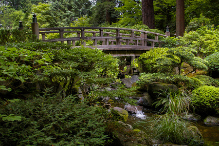 Bridge in Japanese Gardenの写真素材