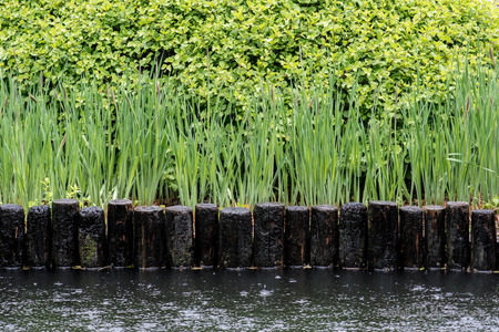 A wooden wall separates grass and shrubs from a pond in a Japanese gardenの写真素材