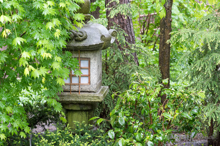 A stone lantern is obscured by shrubs in a Japanese gardenの写真素材