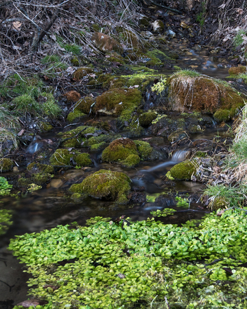 Water from a Spring Falls over Rocksの写真素材