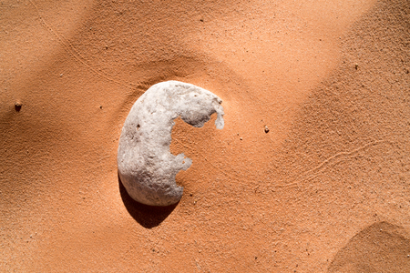 Rock Covered in Sand with Animal Trailの写真素材