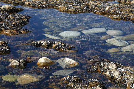 Clear reservoir