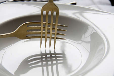 the cellの写真素材