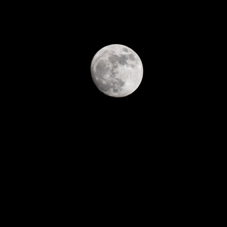 Moon Timelapse, Stock time lapse : Full moon rise in dark nature sky, night time. Full moon disk time lapse with moon light up in night dark black sky. High-quality free video footage or timelapseの写真素材