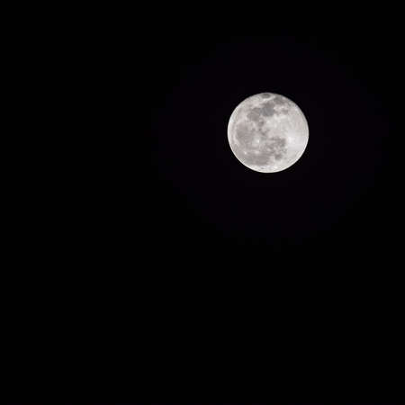 Moon Timelapse, Stock time lapse : Full moon rise in dark nature sky, night time. Full moon disk time lapse with moon light up in night dark black sky. High-quality free video footage or timelapseの写真素材