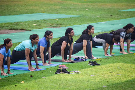 New Delhi, India, June 18 2022 - Group Yoga exercise class Surya Namashkar for people of different age in Lodhi Garden, International Yoga Day, Big group of adults attending a yoga class in parkのeditorial素材