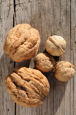 Walnuts of different sizes on an old wooden background. Top view. Healthy food.の写真素材