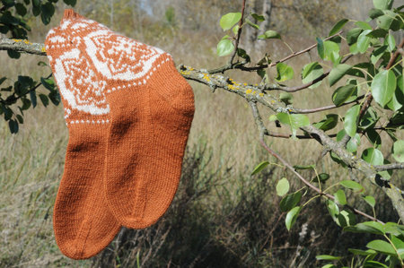 A pair of knitted socks with a pattern hangs on a tree branch in the garden.の写真素材