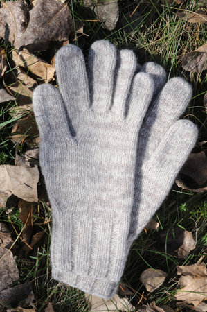 Woolen gloves on the grass in the park. Winter clothing.の写真素材