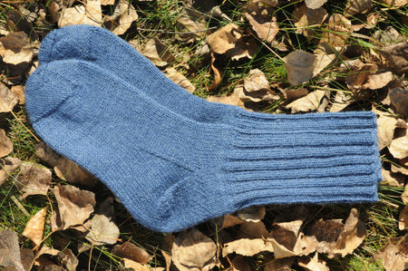 Pair of blue knitted socks on the ground in an autumn forest. Warm handmade knitted items.の写真素材