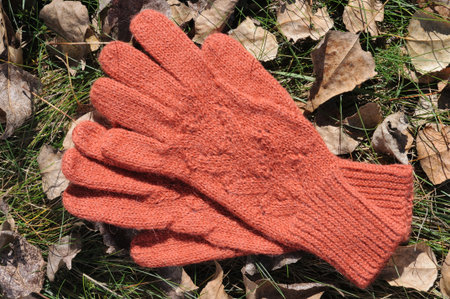 A pair of red woolen gloves on the grass in autumn.の写真素材