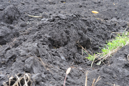 Freshly plowed soil in a field. Close-up of freshly plowed soil.の写真素材