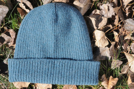 Blue knitted hat lies on the grass with leaves in autumn. Warm knitted things, handmade.の写真素材