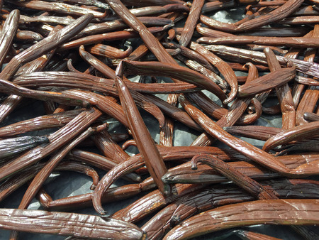 Multiple Tongan vanilla beans laid out on a table