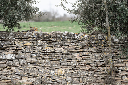 image of stone wall in rural environmentの写真素材