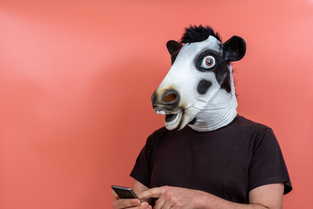 person disguised as a cow using a cell phone on a pink backgroundの写真素材