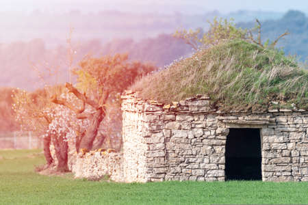 old stone farmer's hut with sun glare on one side in a green cereal fieldの写真素材