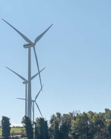 three wind turbines almost lined up behind a pine forestの写真素材