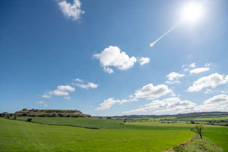 landscape of green cereal fields with blue sky and clouds, horizontalの写真素材
