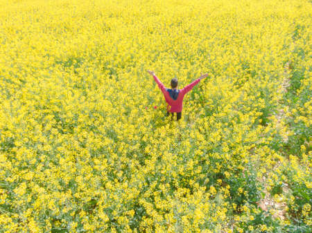 Aerial image taken with drone of a field of rapeseed with yellow rapeseed flowers and in the middle...