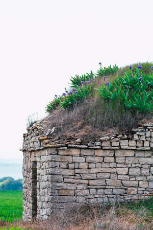 old stone farmer's cottage with lilac flowers on the roof filled with soilの写真素材