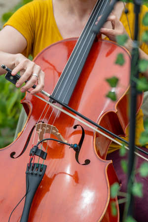 close-up of a person playing the cello with space for copy spaceの写真素材