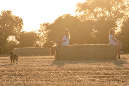 Middle-aged woman and teenage girl sitting on a bale of straw in the middle of a field with a dog...