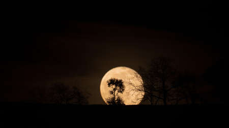full moon rising behind the horizon on a mountain silhouetted by trees, dark image with space for copy spaceの写真素材