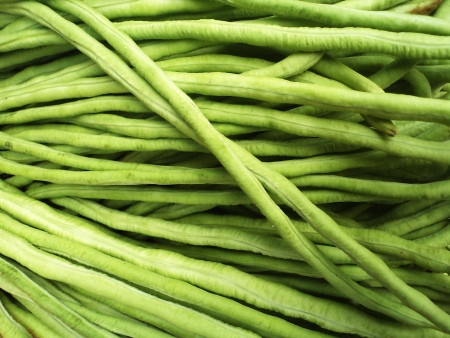 entilsの写真素材