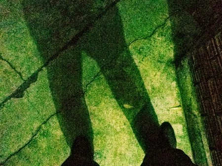 shadow