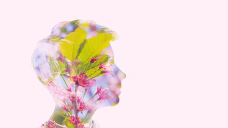 Eco friendly bio universe life energy concept. Double multiply exposure beautiful woman head silhouette portrait with healthy skin and spring pink cherry flowers, blooming apple branch white isolated.の写真素材