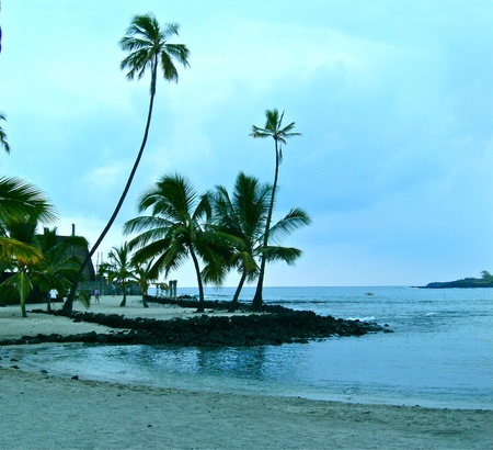 Palm Beachesの写真素材