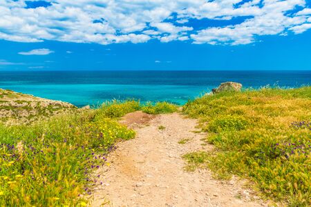 Picturesque road to the sea coast. Beautiful landscape with turquoise water, deep blue sky with clouds, grass and blooming flowersの写真素材