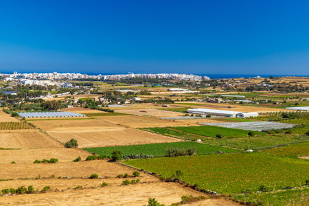 Aerial view of farmlands somewhere in Maltaの写真素材