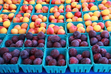 Cartons of fresh plums and apricots for sale at the local farmer's marketの写真素材
