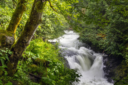 A waterfall on the White Salmon River, Washingtonの写真素材